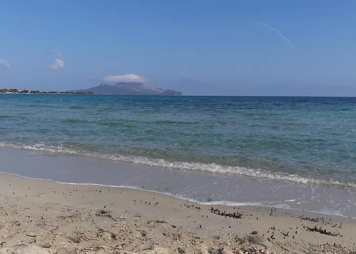 Appartement Cimarosa Panoramico 5